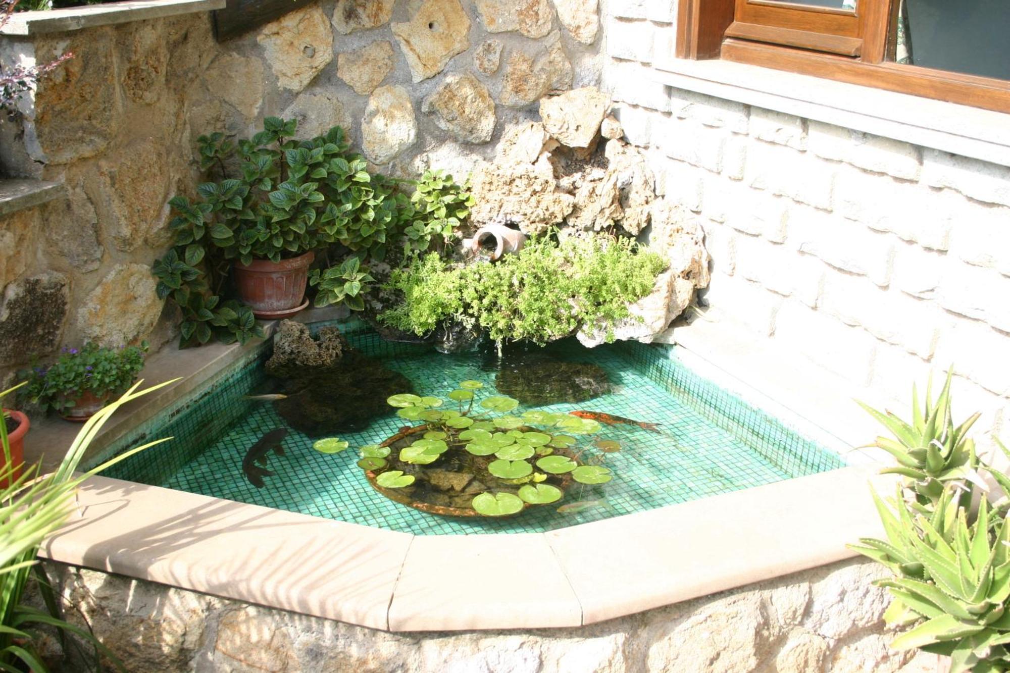 B&B Le Palme Bassano Romano Экстерьер фото